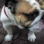Beaulah Carter Profile Picture