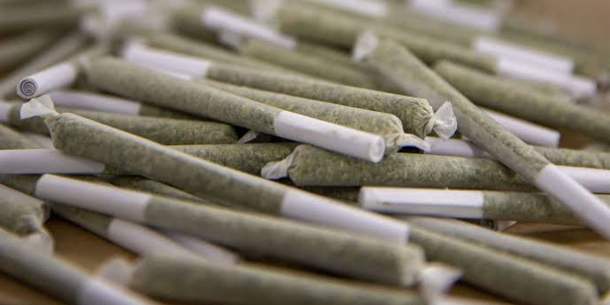 A Complete Guide to Choosing Quality Pre-Rolled Cannabis Products